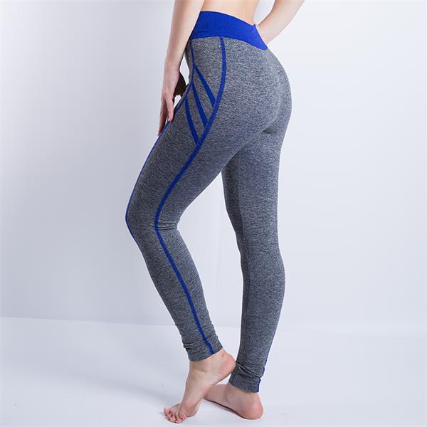 High Waist Gym Tights Yoga Pants