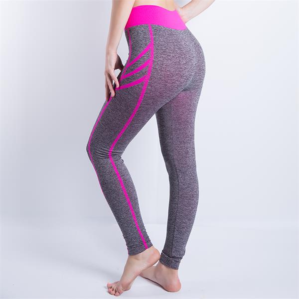 High Waist Gym Tights Yoga Pants