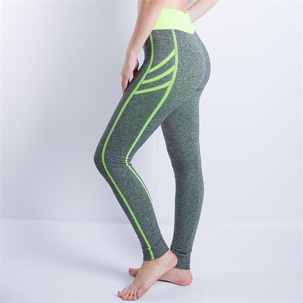 High Waist Gym Tights Yoga Pants