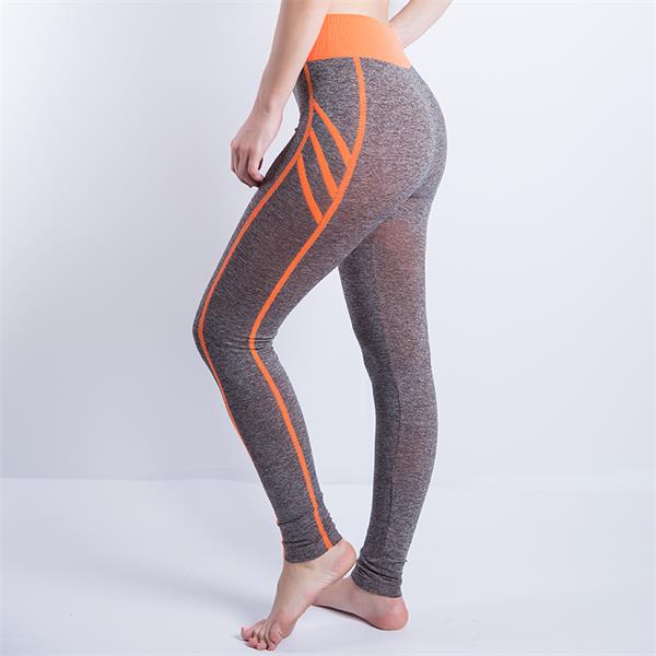High Waist Gym Tights Yoga Pants