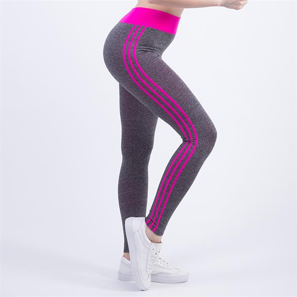 High Waist Gym Tights Yoga Pants