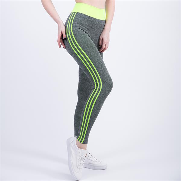 High Waist Gym Tights Yoga Pants